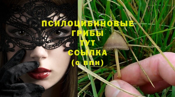 каннабис Няндома