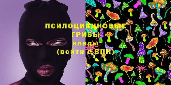 Альфа ПВП Новокубанск