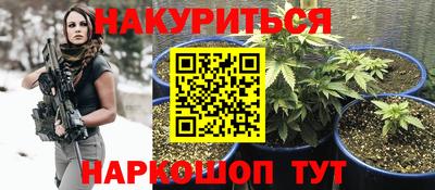 шишки Бузулук