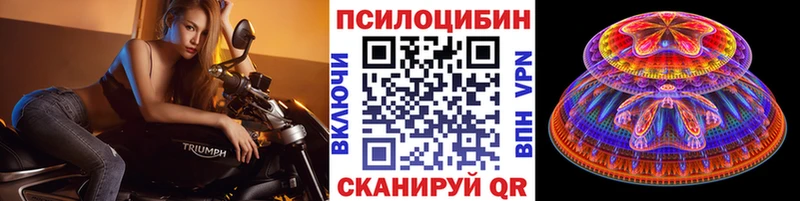 как найти наркотики  Губкинский  Псилоцибиновые грибы прущие грибы 
