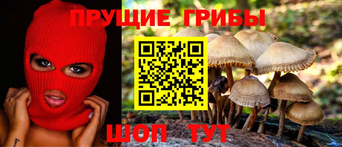 Галлюциногенные грибы Magic Shrooms Губкинский