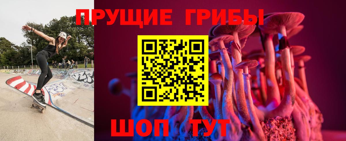 Галлюциногенные грибы мицелий Губкинский