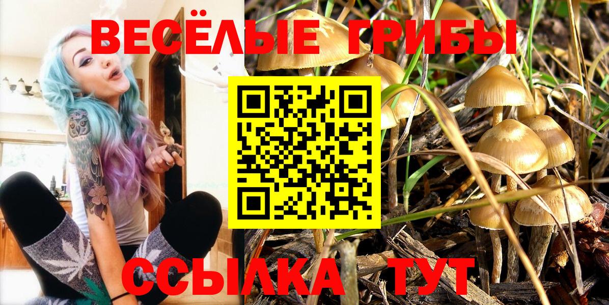 Псилоцибиновые грибы Psilocybe  Вход с VPN  Губкинский 
